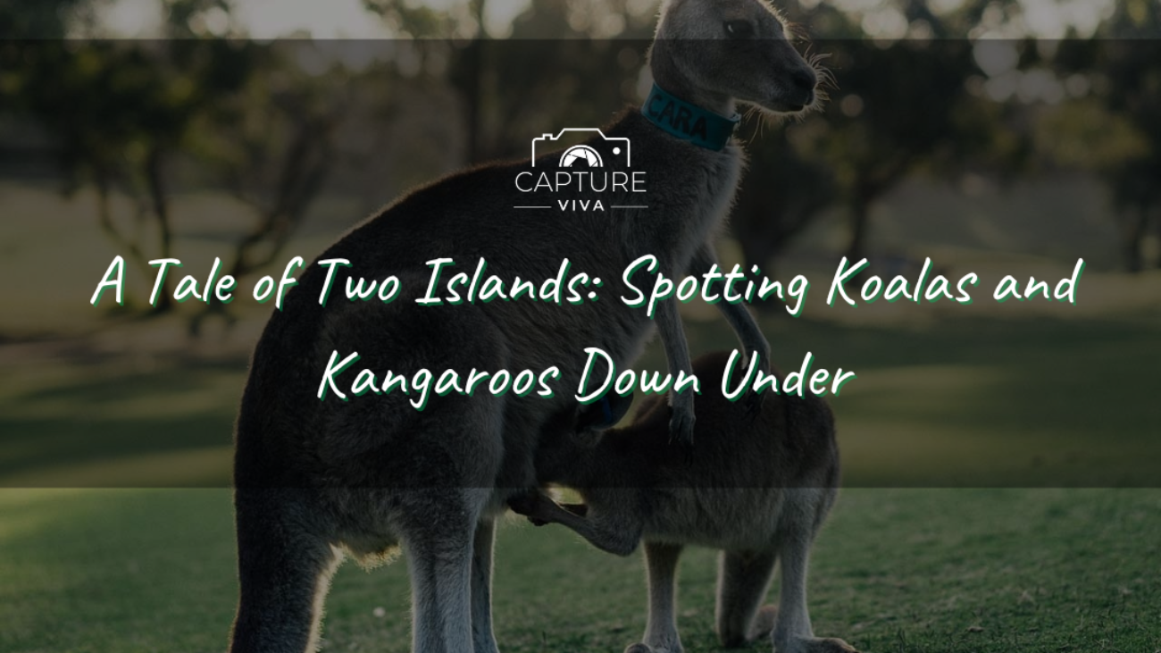 An Unforgettable Encounter with Darwin's Crocodiles (2)