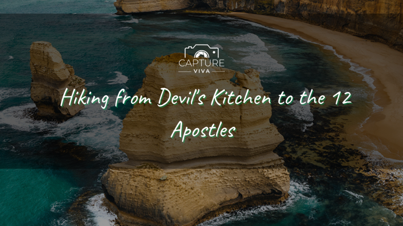 An Unforgettable Encounter with Darwin's Crocodiles (2)